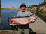 al-b-big-salmon