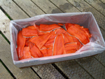 9-Sockeye-fillet-Alaska-2007_sm