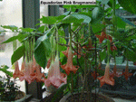 DSC02060-01-01_sm