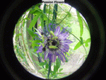DSC02107-01-01_sm