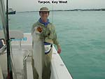 bb-tarpon