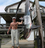 sharkandbob