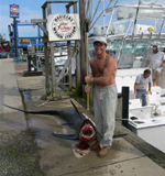 sharkandbob2